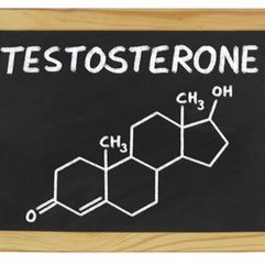 TestoMan - Self-proclaimed expert on Testosterone Supplements