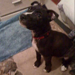 PJ809's profile picture. 