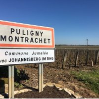 Robert Gilroy (@rgilroy339) 's Twitter Profile