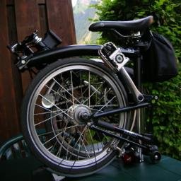 yorkie_brompton's profile picture. 