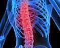 online resources and info related to back pain remedies