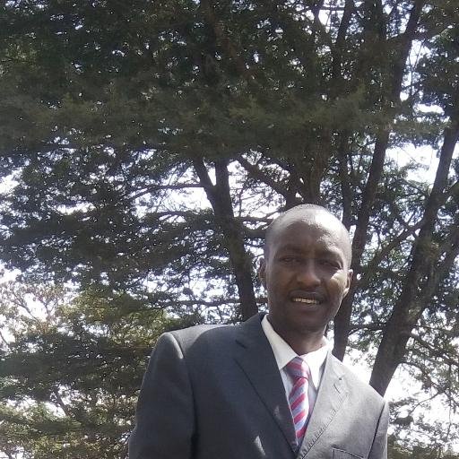 kibish2006's profile picture. 