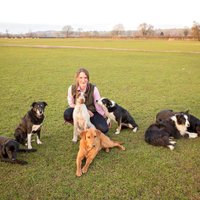 Esther E Veerman (@esther_gamecook) 's Twitter Profile