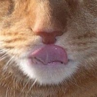 Dangrdafne (@dangrdafne) 's Twitter Profile Photo Dangrdafne (@dangrdafne) 's Twitter Profile Photo