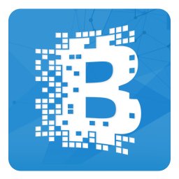 bchainworkshop's profile picture. 