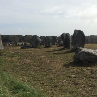 flo_juillet's profile picture. 