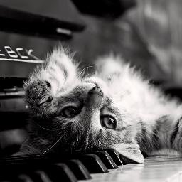 assasin_gd's profile picture. MINECRAFT IS MAI LAIFEEEEEEEEEEEEEEEEEEE XDDDDD