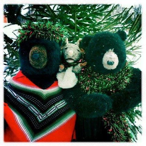 PoochandDenise's profile picture. Do you know these bears?
