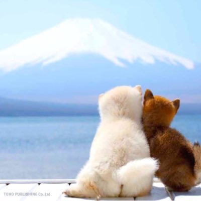 JeJe_June's profile picture. 💜 🌈tя𝕒ⓥє𝓵 🌌