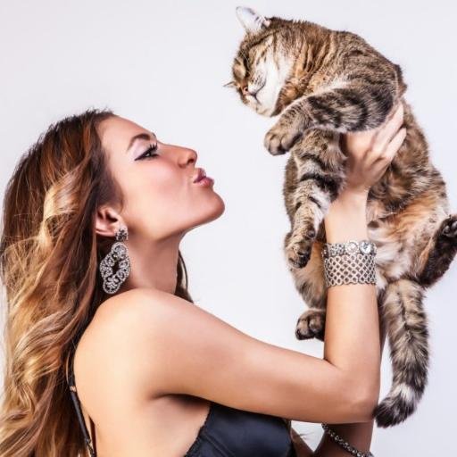 CatAlmaHailey's profile picture. 