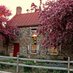 Old Stone House (@oshbklyn) Twitter profile photo Old Stone House (@oshbklyn) Twitter profile photo