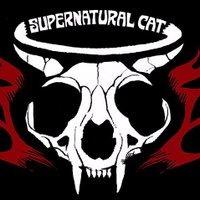 Supernaturalcat (@supernaturalcat) 's Twitter Profile