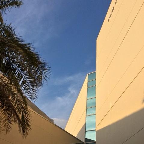 Evans Library Profile