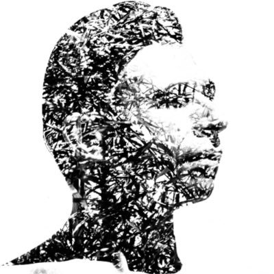 rogeriogal's profile picture. human