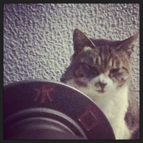 warudakumitter's profile picture. 情熱の足りない不惑超え。