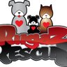 RugazRescue's profile picture. Saving dogs from Euthanasia, Because We Should Be Fighting For Them!

Senior and Hospice dog care specialist in Tampa Bay Florida.