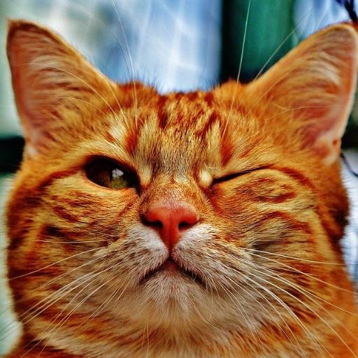 thxbirthcontrol's profile picture. 