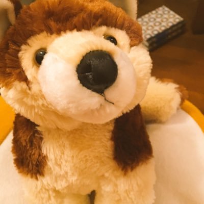 しいまのキャス垢さんのプロフィール画像