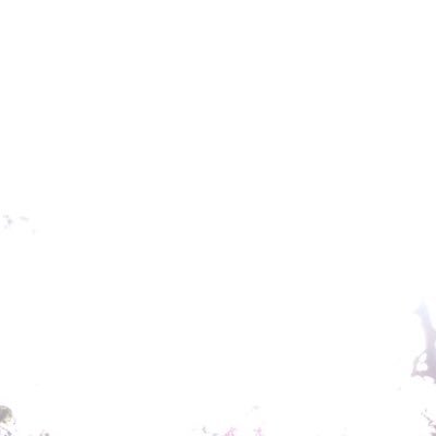 JensonDartnall's profile picture. 