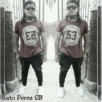 GatoPerezSB's profile picture. IMPORTANCIA A LO IMPORTANTE       ⭐3135691313⭐
