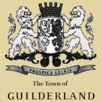 Town of Guilderland(@TownGuilderland) 's Twitter Profileg