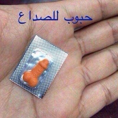 alldayforurs's profile picture. have fun