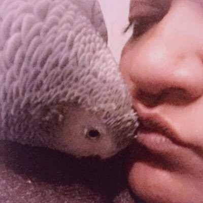 elfinrulez's profile picture. You were standing in the wake of devastation,you were waiting on the edge of the unknown,with the cataclysm raining down.Insides crying Save me now