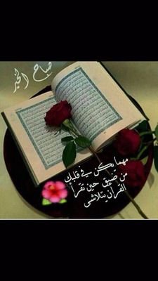 bneeeederr's profile picture. 