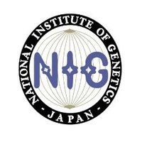 国立遺伝学研究所 (@nig_idenken) 's Twitter Profile Photo 国立遺伝学研究所 (@nig_idenken) 's Twitter Profile Photo