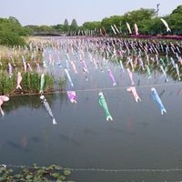 はしー (@2optb3getaimjlv) 's Twitter Profile