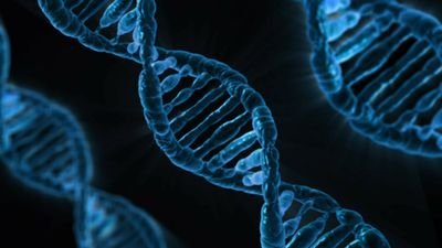 We help worldwide biotech clients to use digital marketing effectively and understand their research with innovative bioinformatics services.