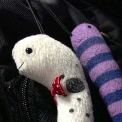 bourbon06's profile picture. 🥃 ogu からの vao p 2a からの ??? / 📷