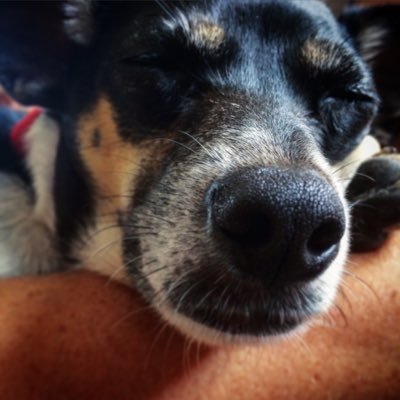 OMonsted's profile picture. 