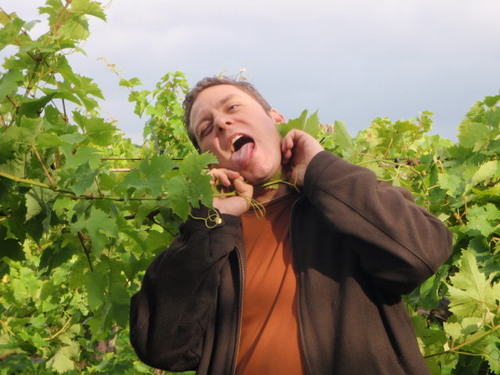 bmitten's profile picture. Marketing guy.  Likes to cook.  Manages to hurt himself every time he goes snowboarding.