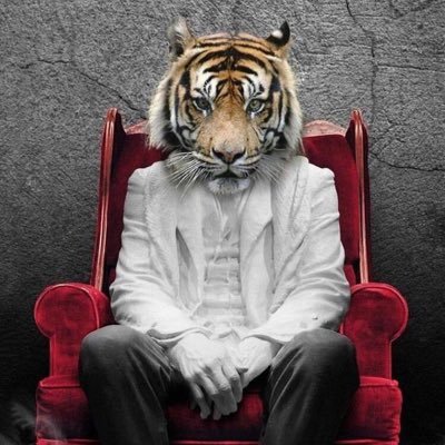 TheSchematics38's profile picture. 