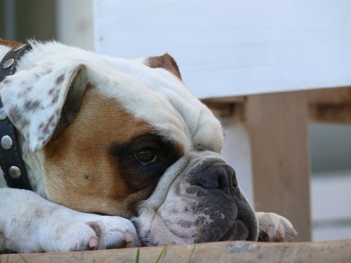 benjtk's profile picture. 