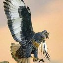 ابوعبدالعزيز (@054_460) Twitter