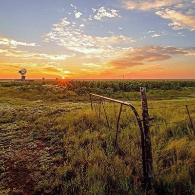 The Official Twitter account for I Love Free State & Free State Tourism. Share the love for the heart of South Africa. Email: info@ilovefreestate.co.za !