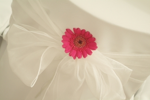 The Southwest's Leading Chair Cover Supplier. Covering Devon, Cornwall, Avon & Somerset.