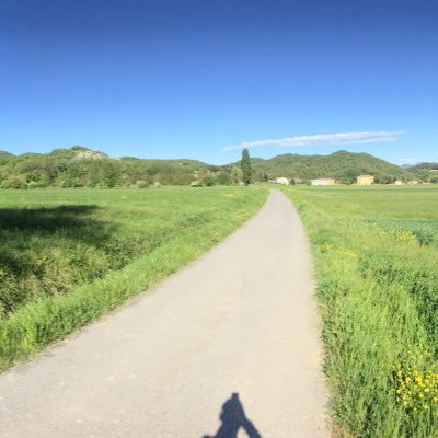 pietrogandetto1's profile picture. 