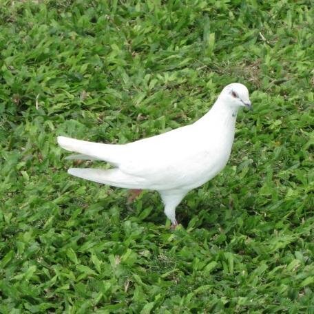 桐谷瑞香さんのプロフィール画像