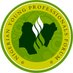 Nigerian Young Professional Forum Profile picture