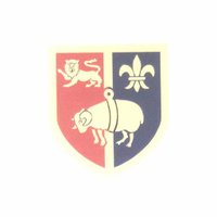 Tavy Golf (@tavygolf) 's Twitter Profile