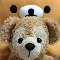 ふわりん (@love2duffy123) 's Twitter Profile