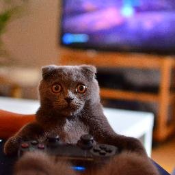 JamonBonnyCat's profile picture. https://t.co/gGyHKCHnnr https://t.co/FnenqkDp7Y
https://t.co/k1IWxkmVFb
https://t.co/3XxlVGAqfU
https://t.co/3WUN0cXqKf