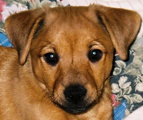 Evie7Seven's profile picture. 