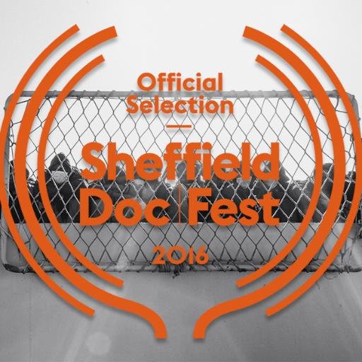 PietroNovello's profile picture. 