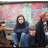 SHARK DENTIST (@dentistshark) 's Twitter Profile