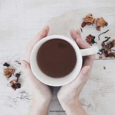 aspiring scriptwriter ¤ day dreamer ¤ tea drinker ¤ dog lover
