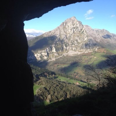 larogadea's profile picture. 